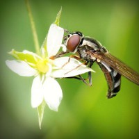 /album/letganglesphe/photolia-a02-jpg/