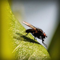 /album/letganglesphe/photolia-a04-jpg/