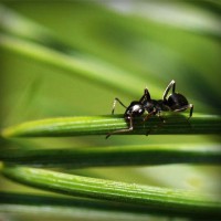 /album/letganglesphe/photolia-a05-jpg/