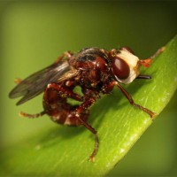 /album/letganglesphe/photolia-a06-jpg/