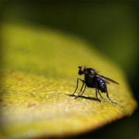 /album/letganglesphe/photolia-a07-jpg/