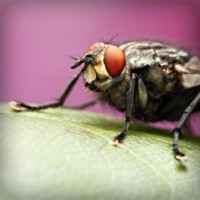 /album/letganglesphe/photolia-a08-jpg/